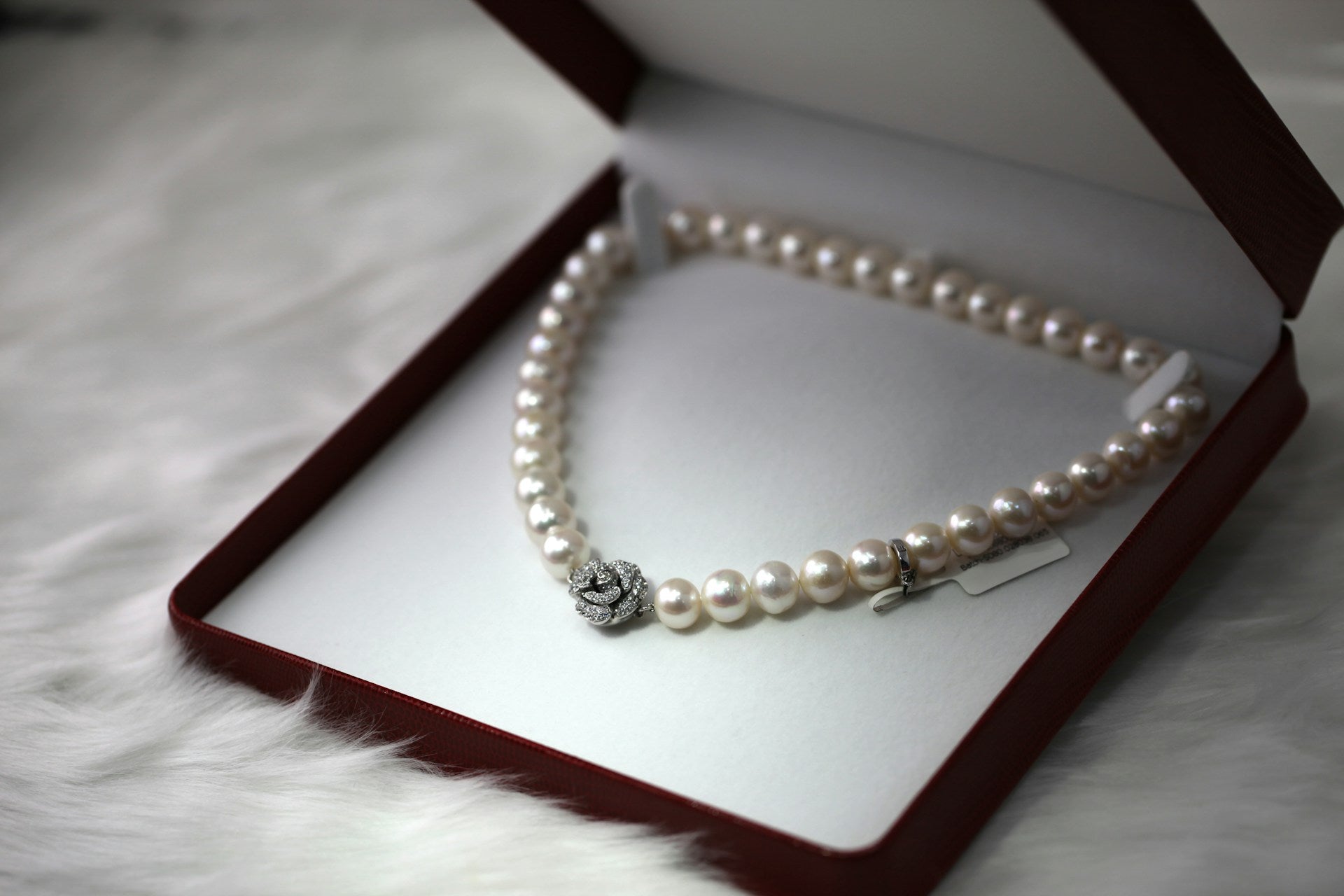 DAINU Fine Jewellery